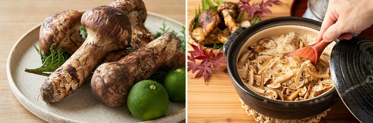 マツタケ(左)、マツタケご飯(PIXTA)