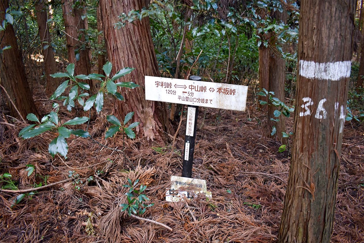 中山峠では、かつて旗振り山であった形跡は見つけることができなかった