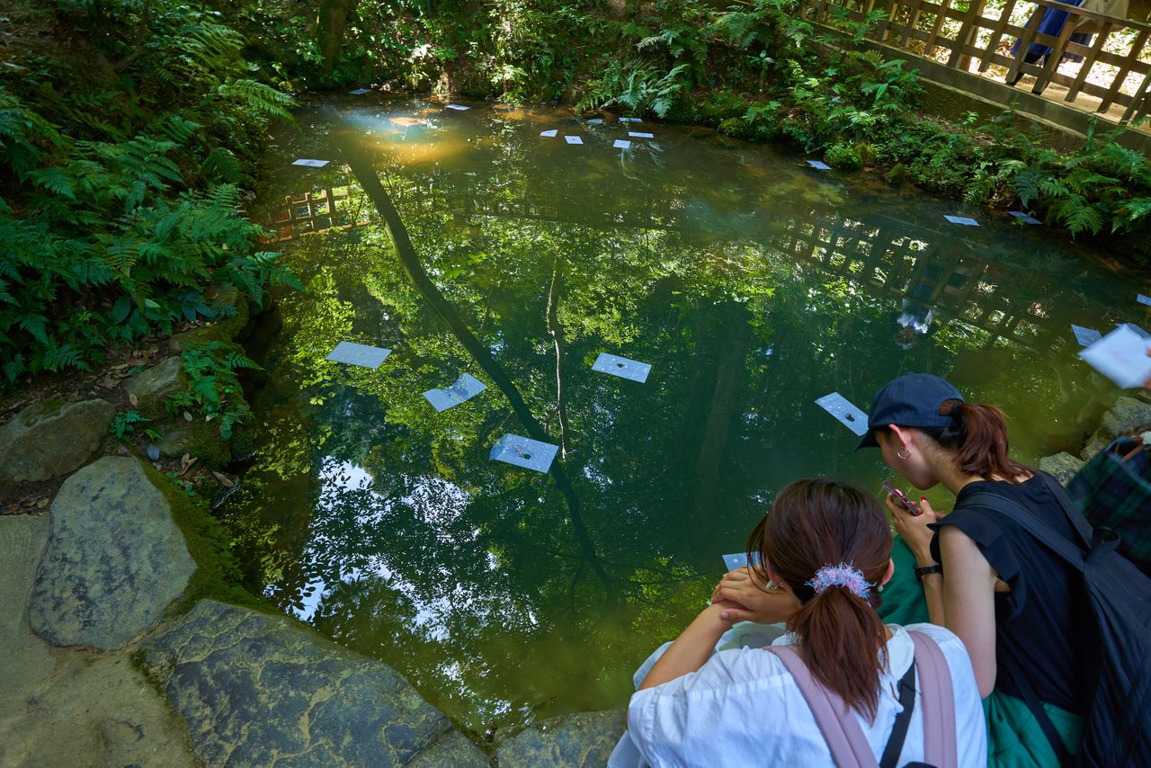 松江市八重垣神社の「鏡の池」で恋占い（PIXTA）