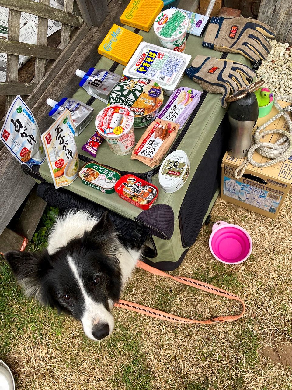 持参した食料品。寒かったのでカップ麺が何よりのご馳走だった