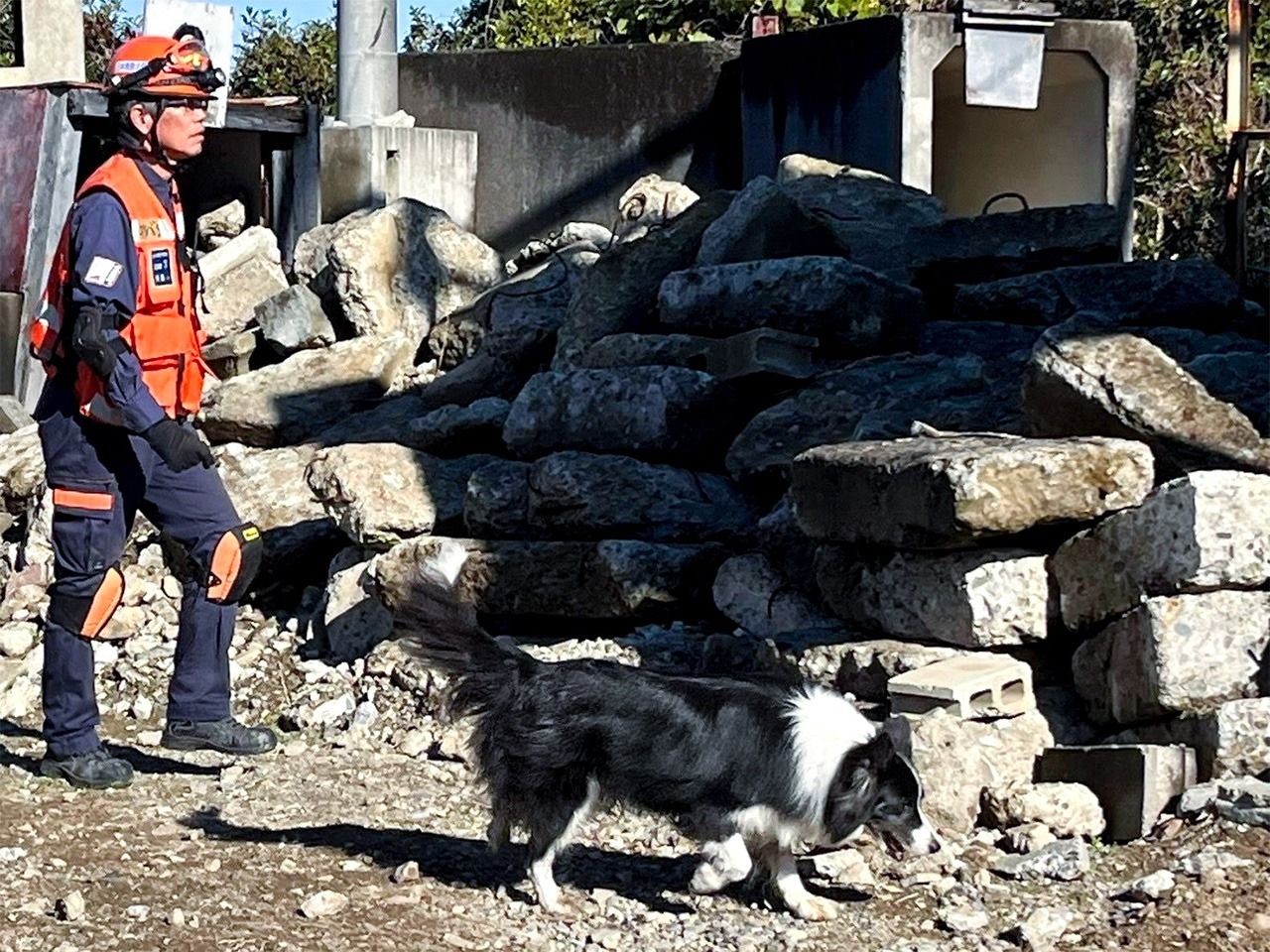 訓練を重ねハンドラーと救助犬の信頼関係は深まる