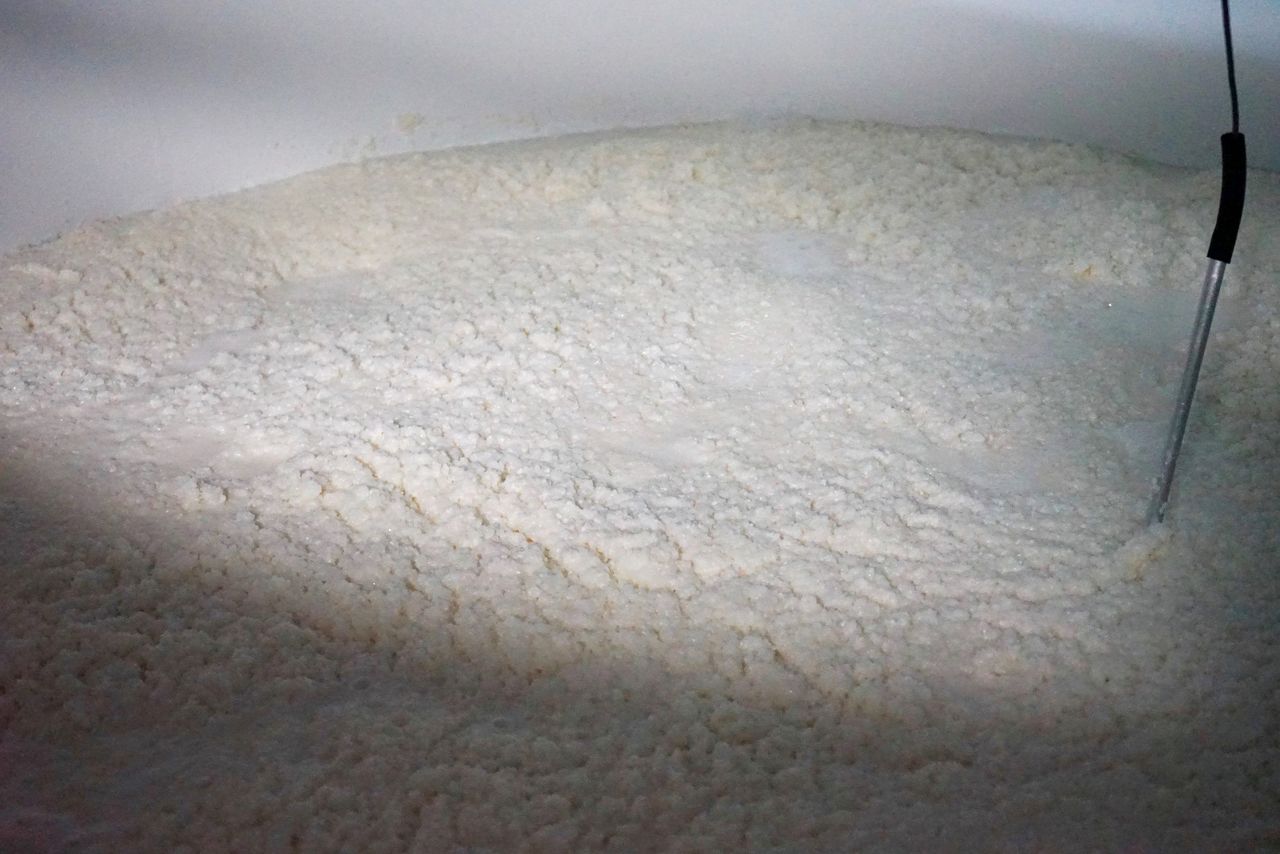 発酵を始めたもろみ。炭酸ガスの弾けるピチピチという音が、酵母の活性を告げている　写真：浮田泰幸