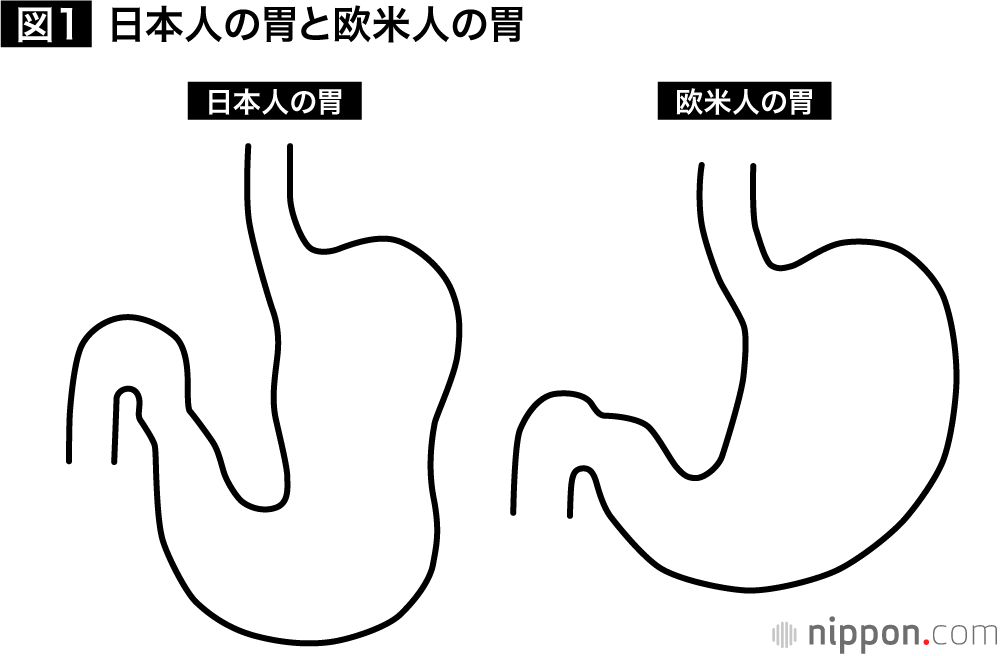 日本人の胃は穀物を食べるようにできている。