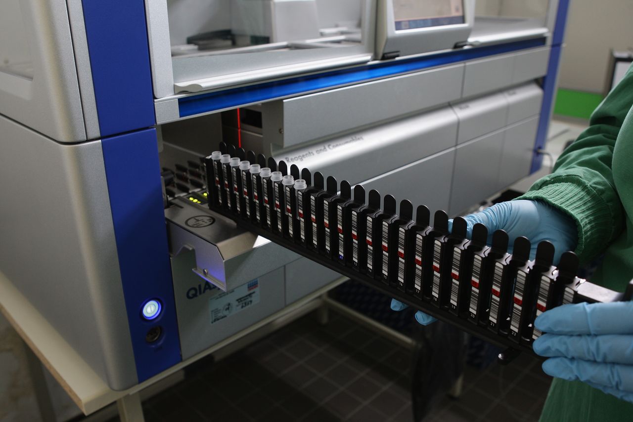 ドイツのベルリンにあるベルリン・ブランデンブルク研究所で行われた、豚インフルを引き起こすH1N1ウイルスの臨床検査 。2014年8月14日撮影（Photo by Andreas Rentz/Getty Images）