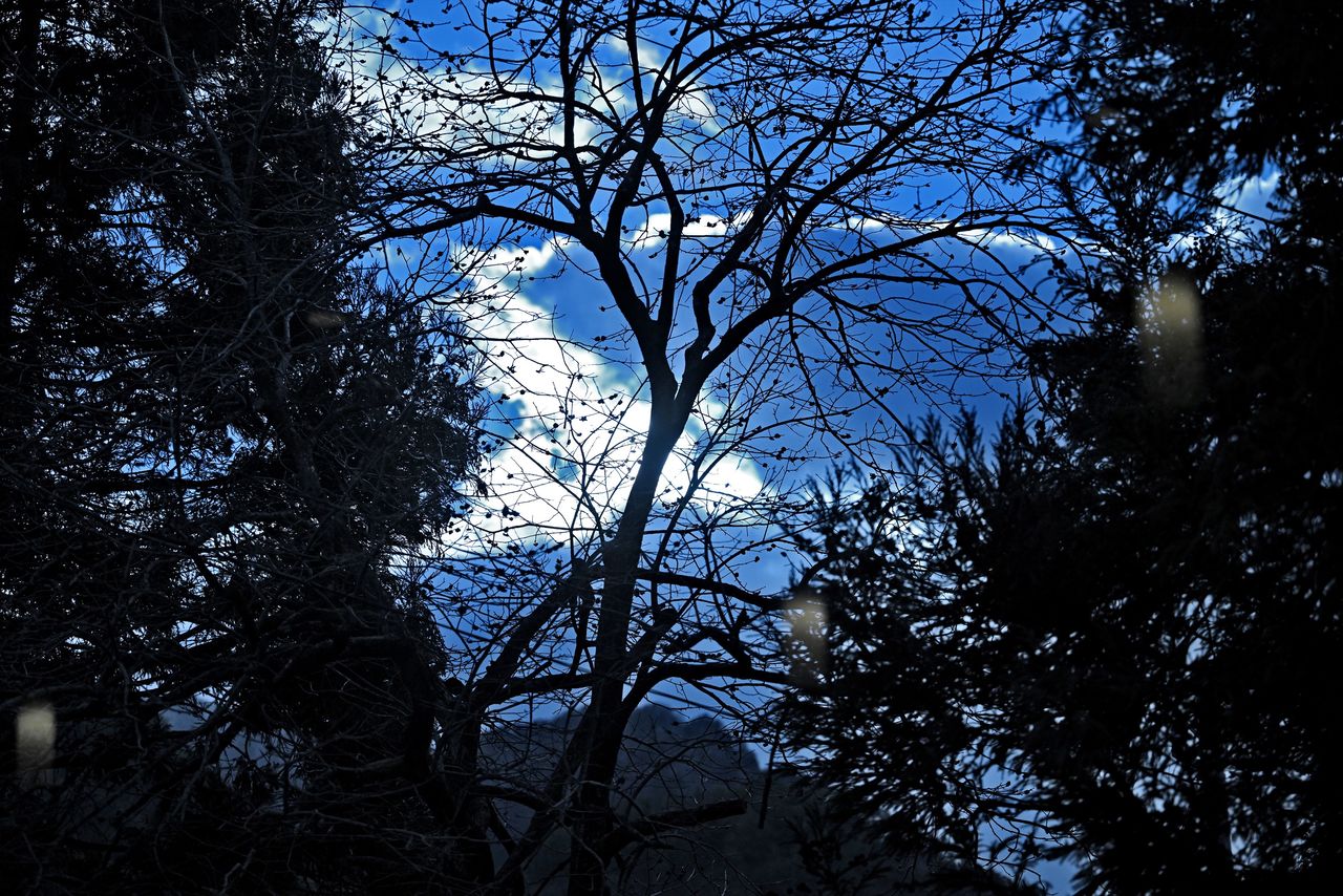 無言館は静かな森の中に立つ。この環境も、戦没画学生の遺作と向き合うための必然だった