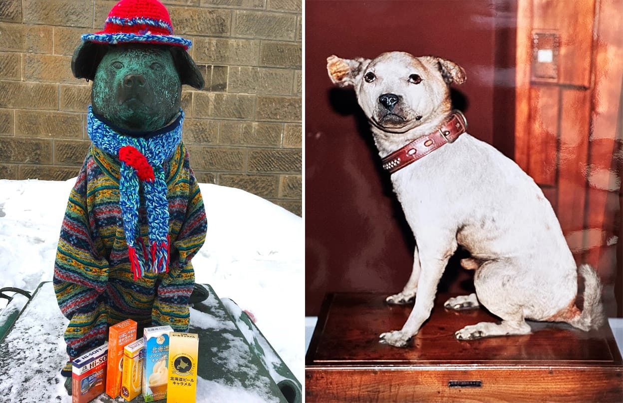 (左)ぶん公の命日の2月3日には、毎年、大好物だったキャラメルが市民から寄せられる 写真=吉田理恵子(右)小樽市総合博物館運河館に展示されているぶん公のはく製 写真提供=小樽市総合博物館