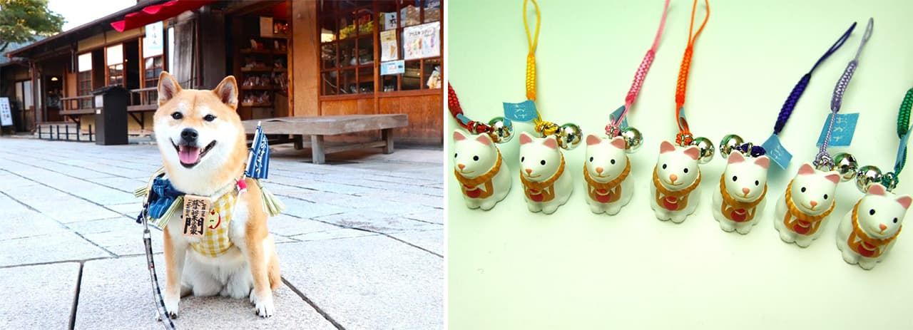 (左)江戸~明治期の町並みを再現した「おかげ横丁」を散歩する“おかげ犬” (右)土産として人気の「おかげ犬ストラップ」 写真提供=おかげ横丁