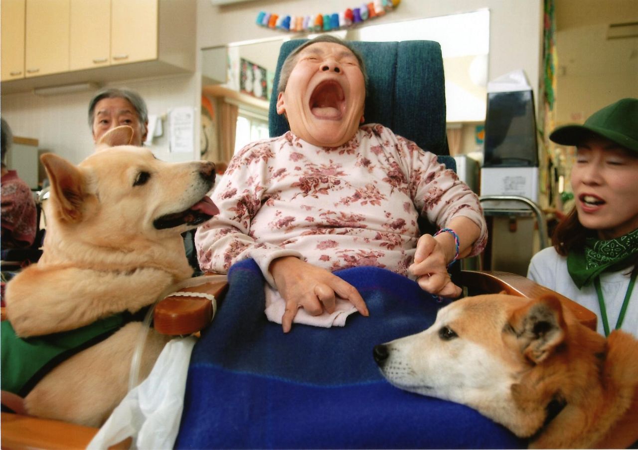 脳に軽い障害があり、自宅で転んでからは手足が全く動かなくなった中里栄子さん。セラピーの最初はチロリ(左)を見つめるばかりだったが、やがて満面の笑みを見せるようになった 写真提供=国際セラピードッグ協会