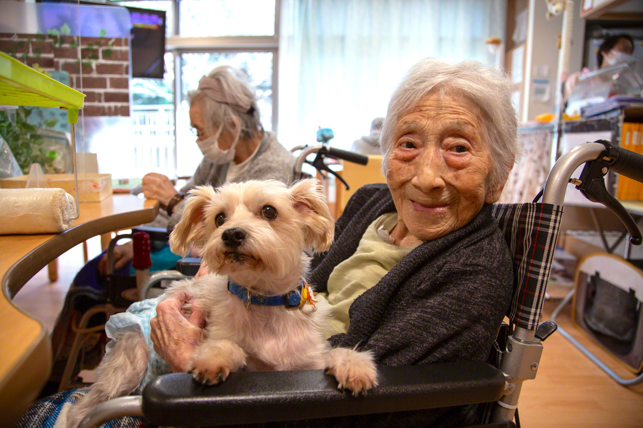 97歳になる野澤さんと愛犬のミック。ミックは片時もおばあちゃんのもとを離れず、職員が介護する様子をベッド上で見守る。この光景は、さくらの里山科での入居者と愛犬の暮しを象徴している
