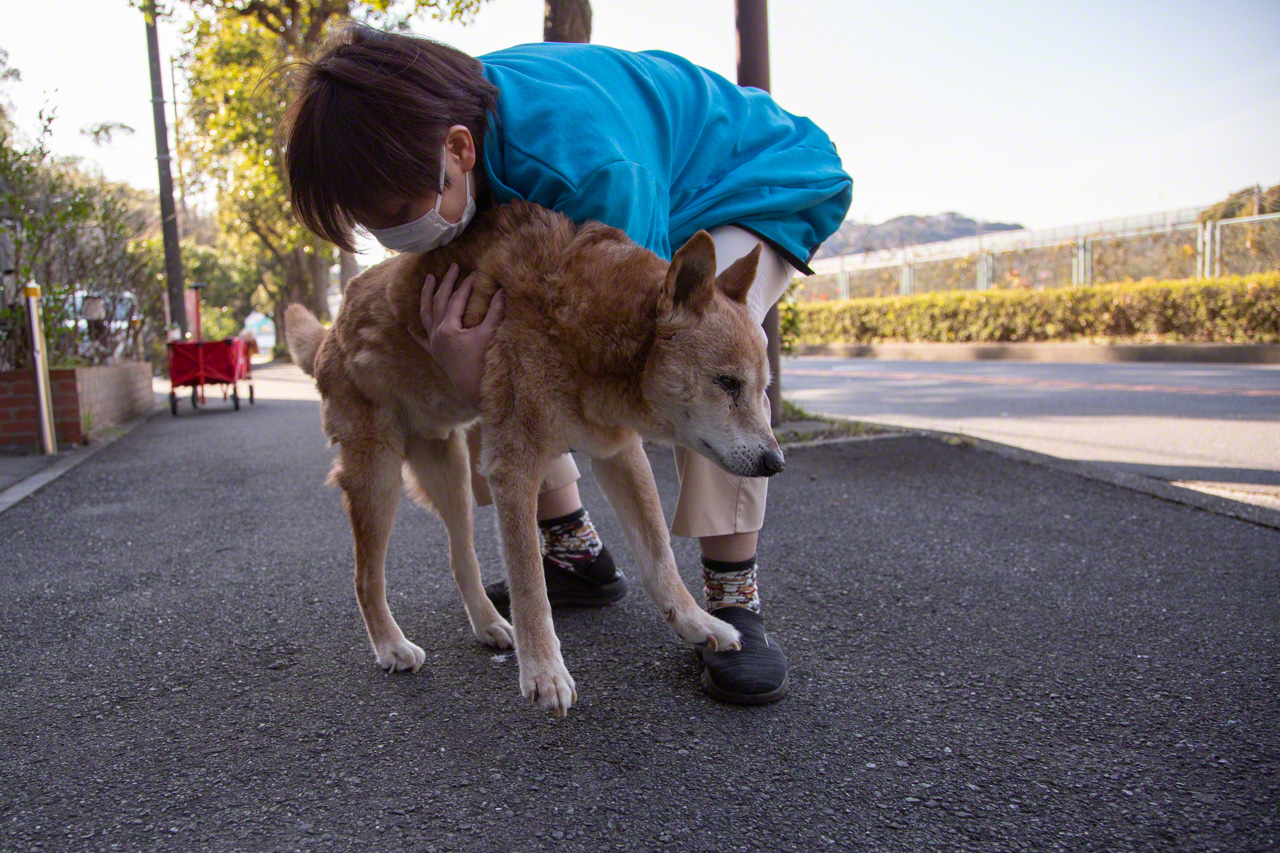 大喜は外に出て風を感じるのが大好き。おなかを支えてやれば立って歩こうとする