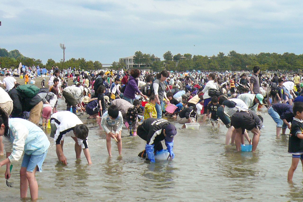 横浜市の「海の公園」で潮干狩りを楽しむ人々。忍者くまでを使う姿が散見された 写真:筆者提供