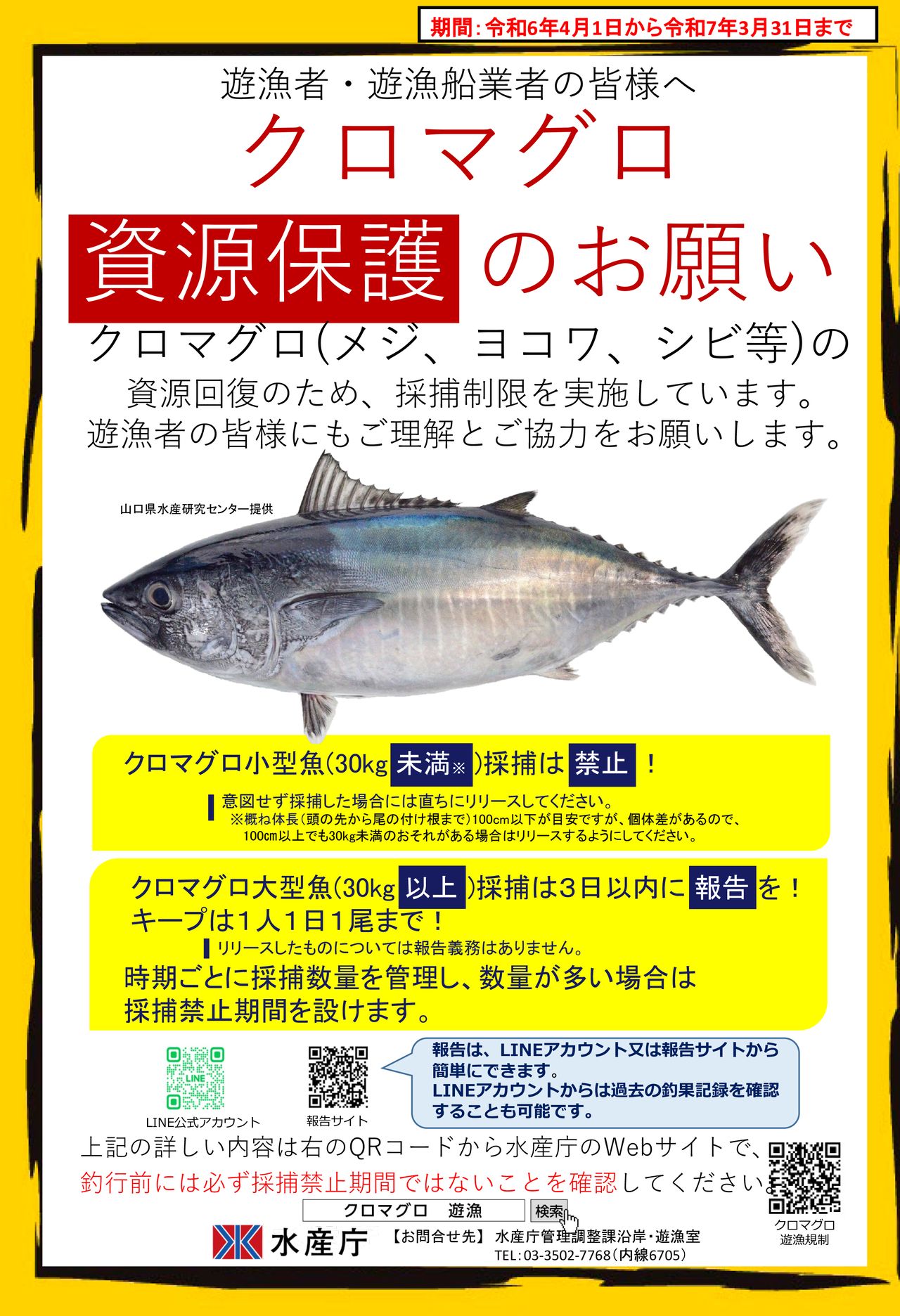 クロマグロ釣りに対する注意喚起ポスター 写真:水産庁