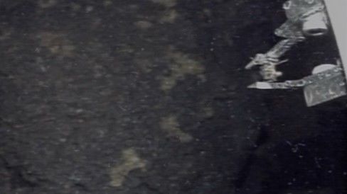 2号機の格納容器内の燃料デブリを専用装置でつまみ上げている様子。先端のハサミのような部分にデブリがある=2024年10月30日(東京電力提供)