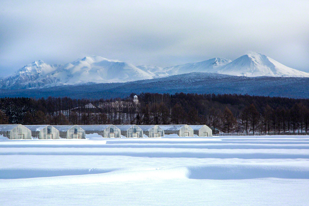 大雪山系の主峰・旭岳(右)を背景に、白い塔が頭をのぞかせる旭川福祉専門学校