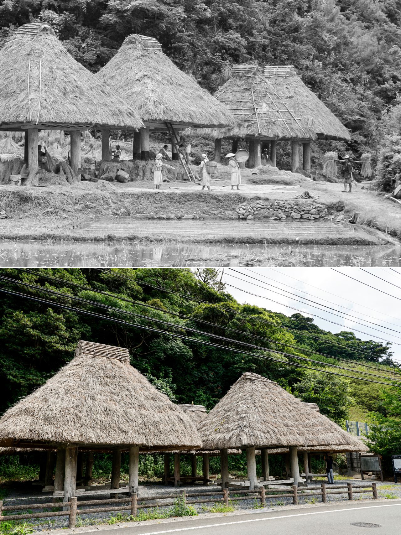 奄美大島・大和村の群倉(ぼれぐら)。文化財として保存され、県道沿いにたたずむ(芳賀日向撮影)