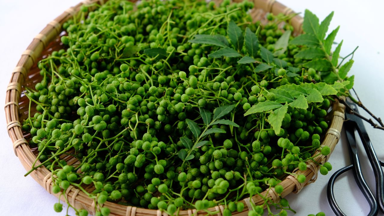 山椒（サンショウ）：清涼感のある香りと鋭い辛さにしびれる