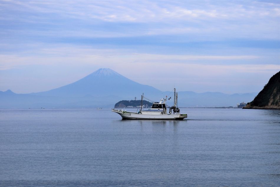 相模湾に浮かぶしらす漁船(写真提供:神奈川県逗子市)