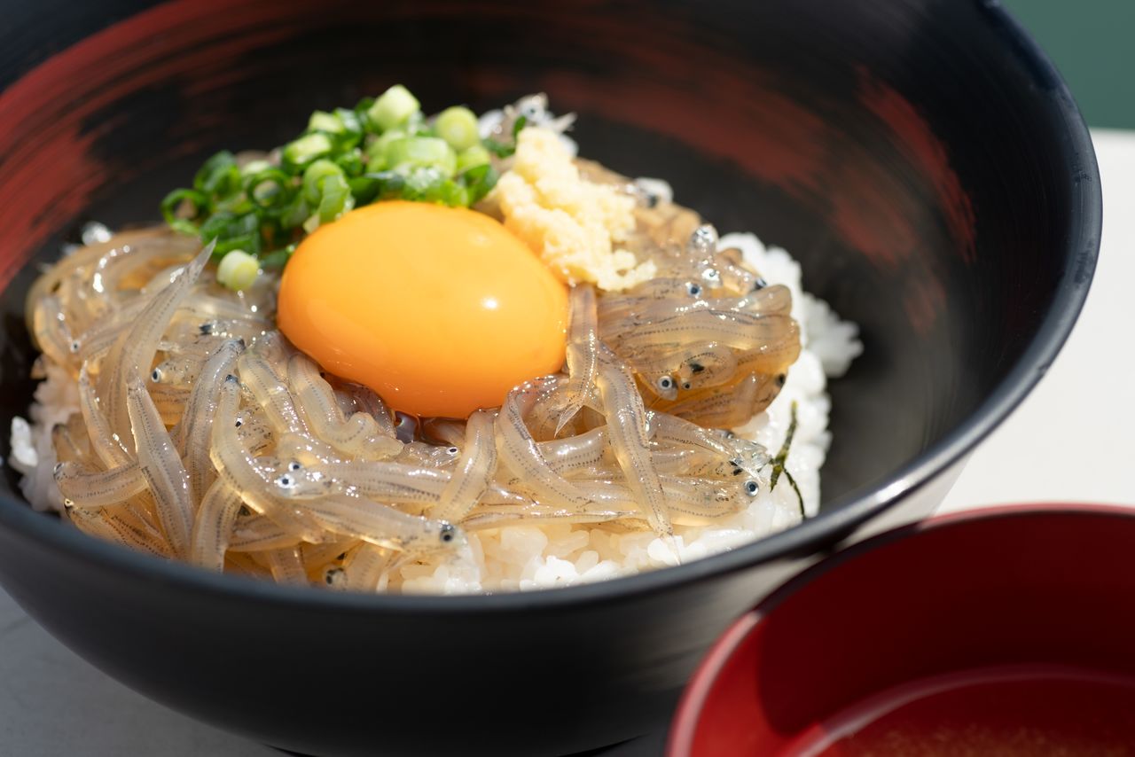 生しらす丼(写真提供:静岡県観光協会)