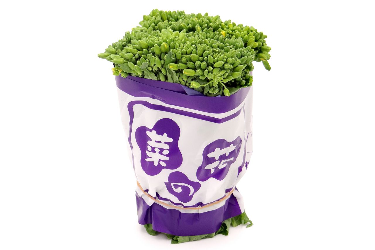 長さを切りそろえ、つぼみが開かないうちに出荷する(フォトAC)