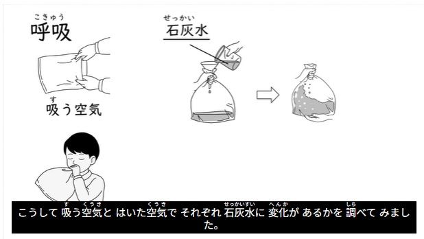 やさしい日本語の字幕入り学習動画(NPO法人eboard提供)https://www.eboard.jp/content/501/v/1/
