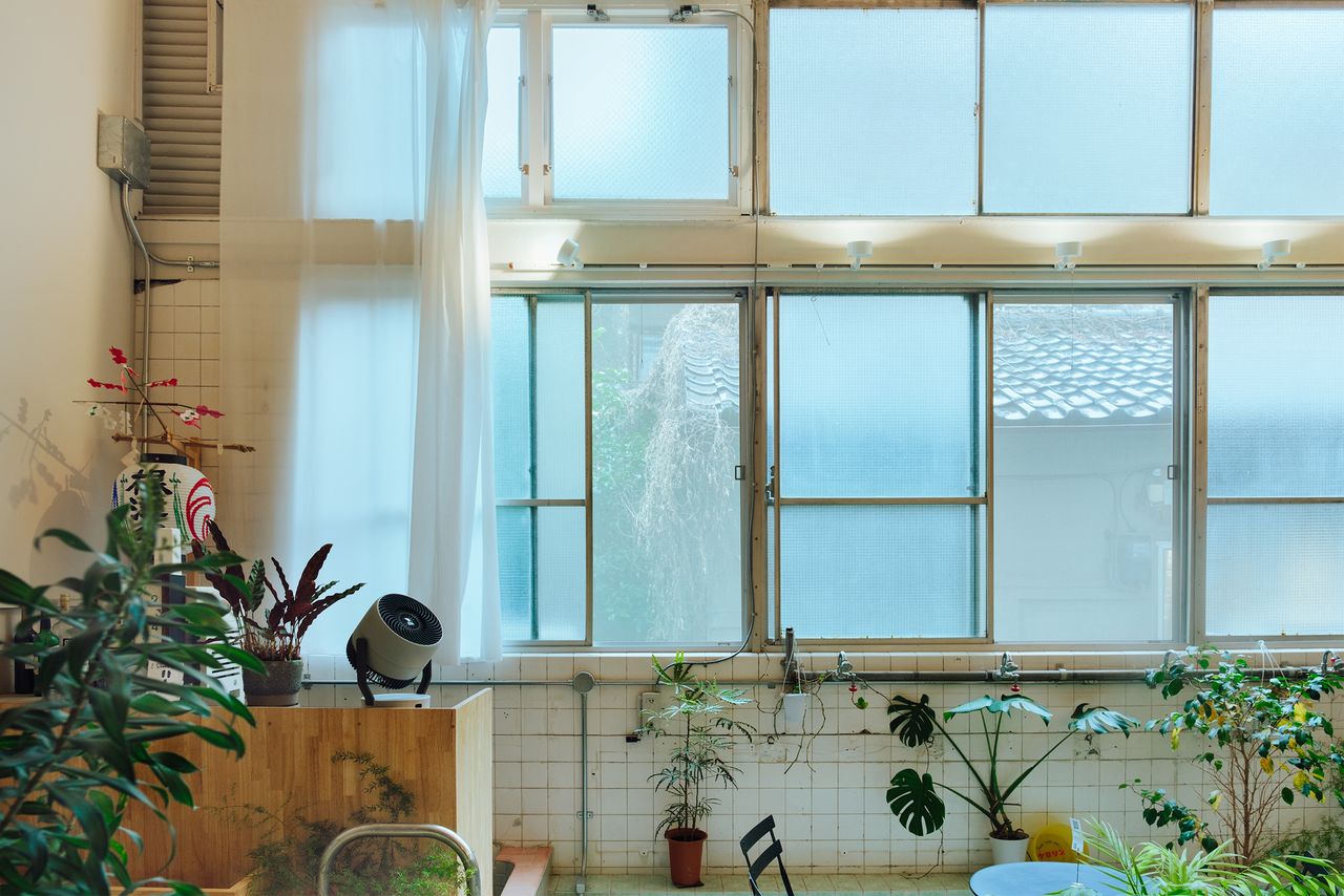 壁一面のガラス窓から光が差し込む