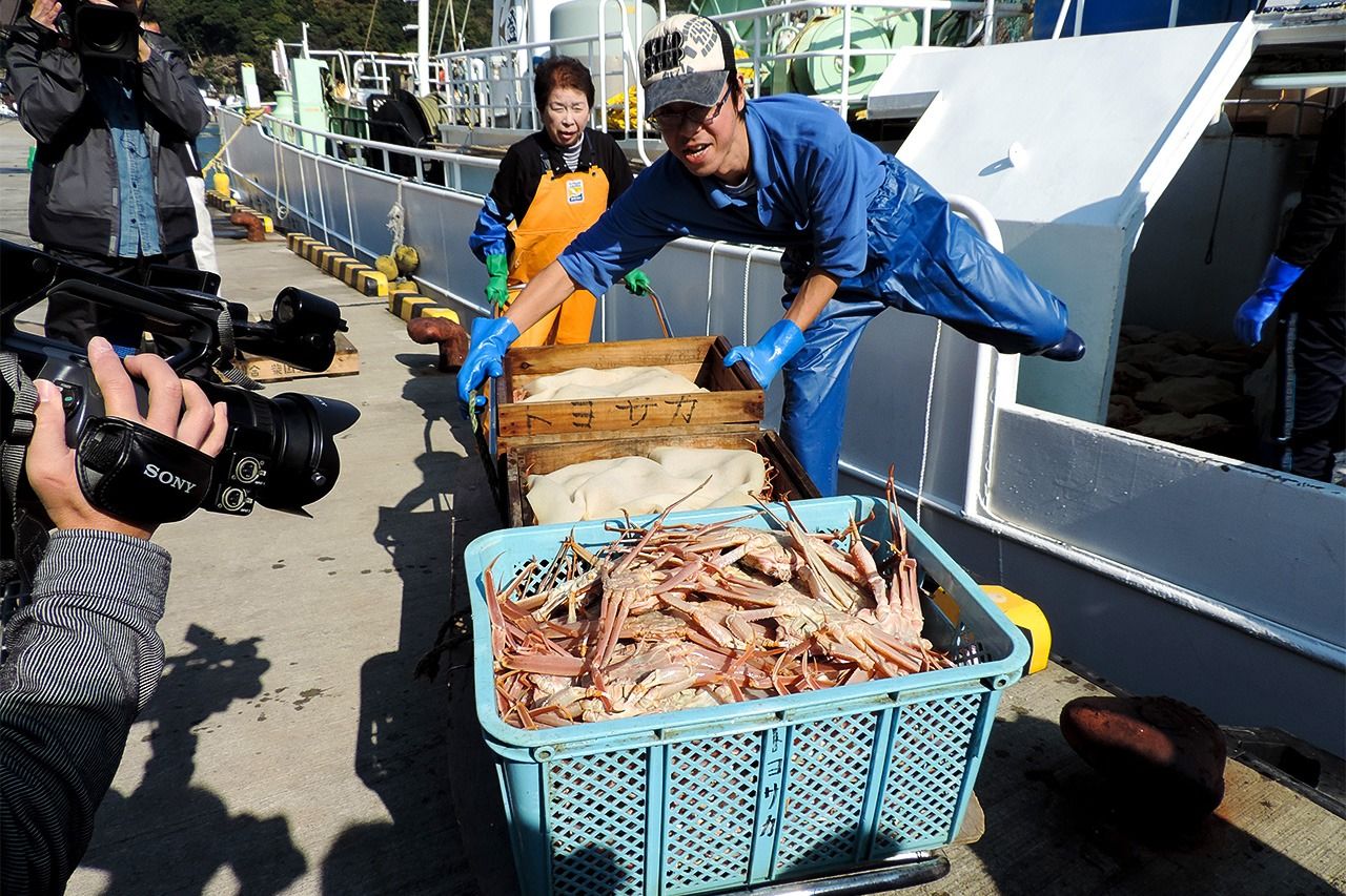 毎年11月6日はズワイガニの解禁日。発セリには報道陣が詰めかけ、夕刊や夕方のテレビニュースには「冬の味覚、到来」の見出しが並ぶ。柴山漁港で