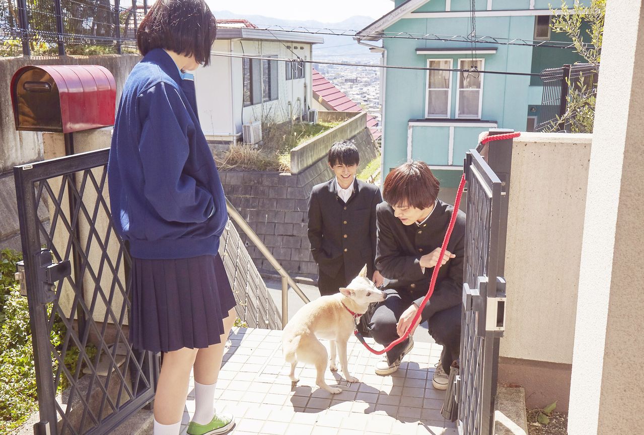 いつも長谷川家の中心にいる愛犬サクラ　©西加奈子／小学館 ©2020 「さくら」製作委員会