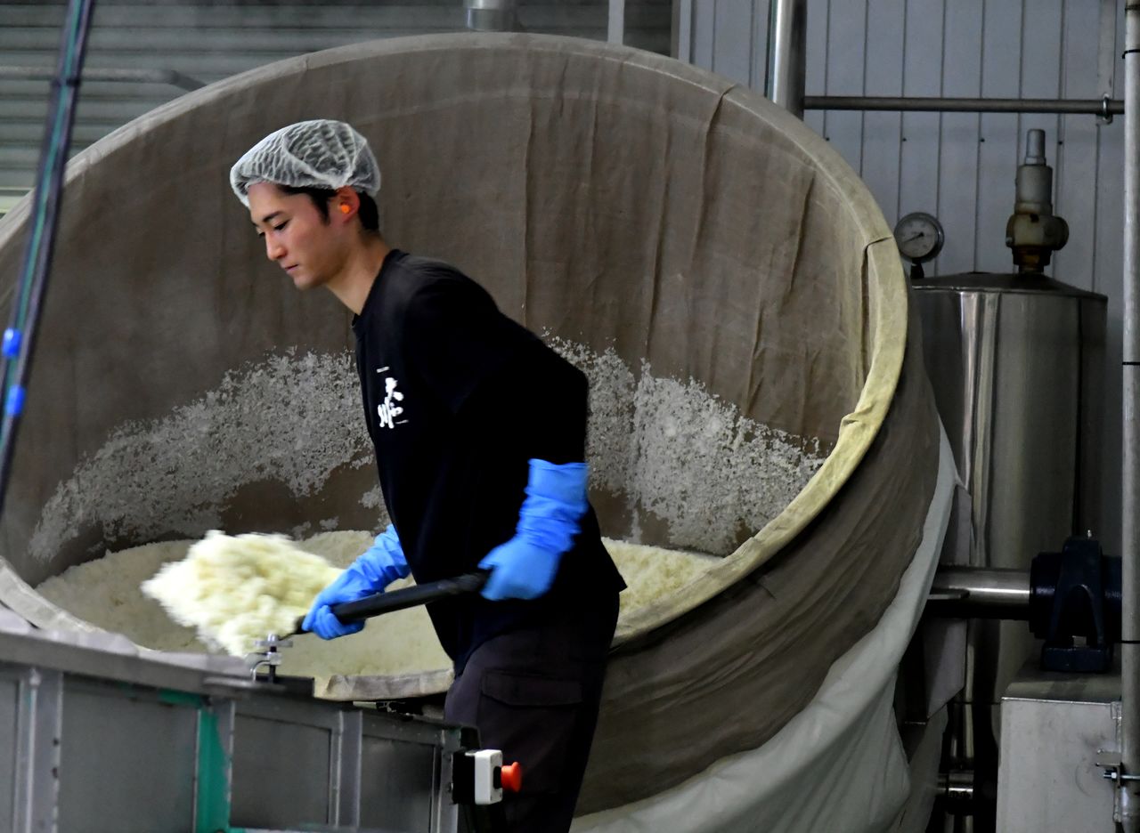 蒸しあがった酒米を次の工程に移す蔵人