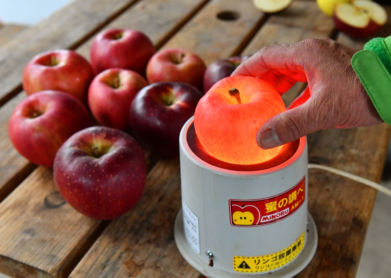 蜜度測定器にかけると全体が光る高徳