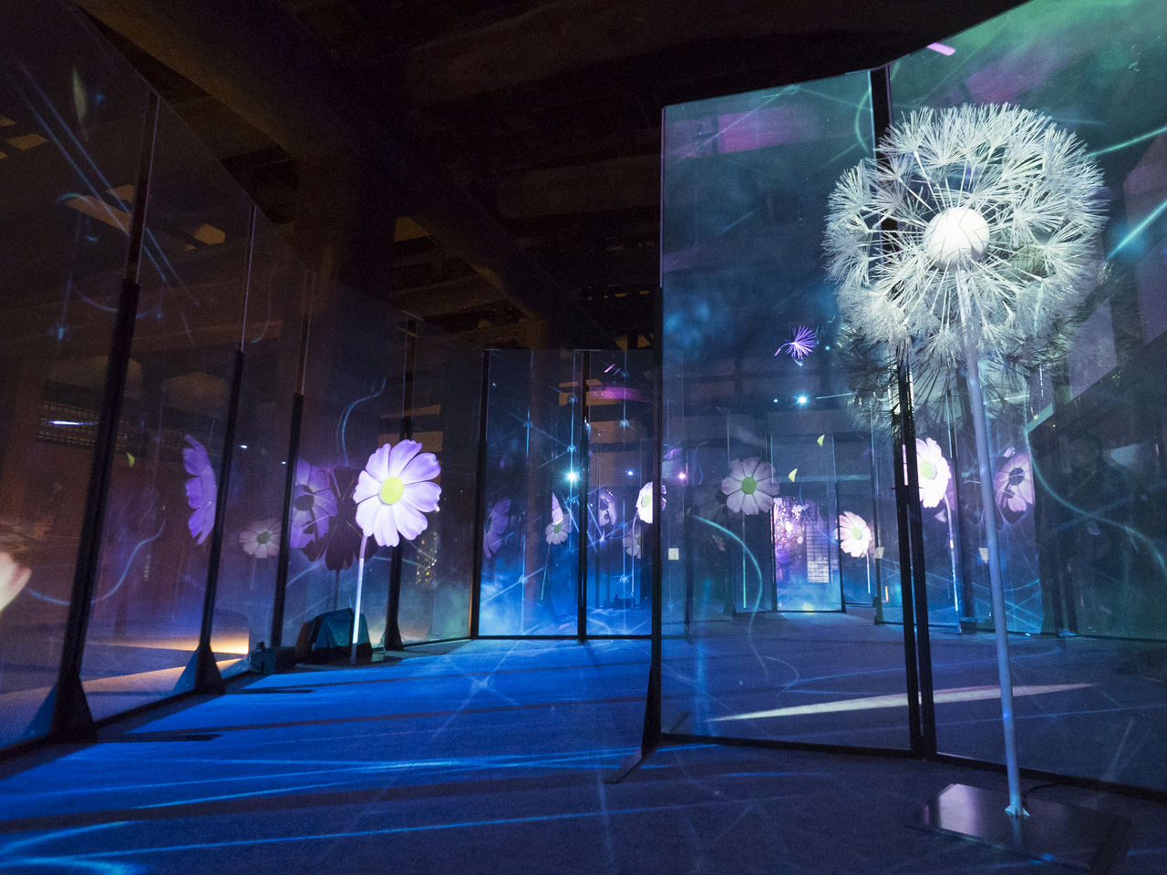 先進デジタルアートで華やぐ京都・二条城：世界遺産を秋季特別ライト