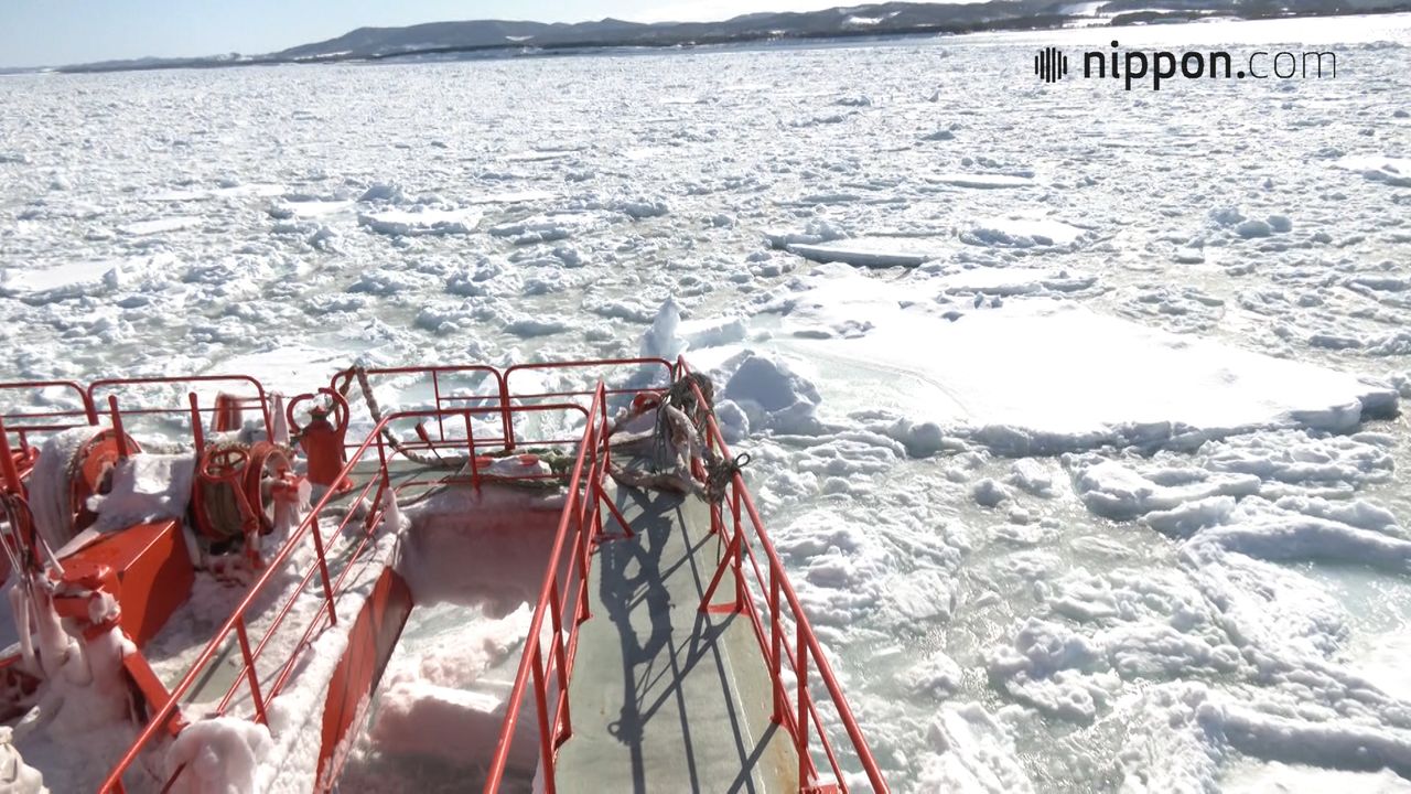 ツアー 流氷