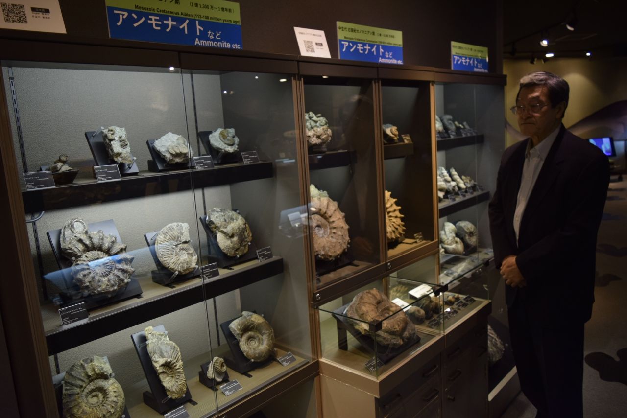 大幅に種類を増やして、常設展示を充実させた穂別博物館のアンモナイト化石の展示コーナー