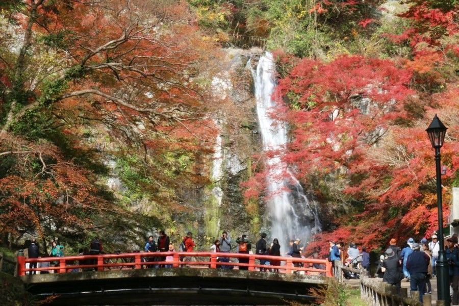 動画 大阪 箕面大滝と紅葉の競演 周囲の山々も色鮮やかに Nippon Com