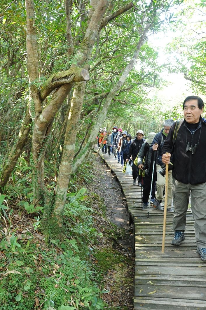 登山道を歩く参加者ら＝２日、奄美大島の湯湾岳