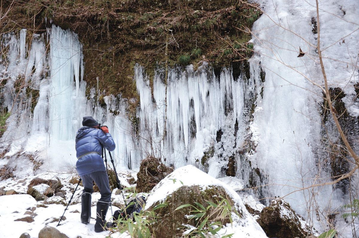 巨大な氷柱が連なり、神秘的な情景を生み出している「屏風岩氷瀑」