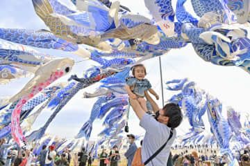 大空を泳ぐ約450匹の青いこいのぼり。多くの親子連れが訪れた＝5日午前、宮城県東松島市