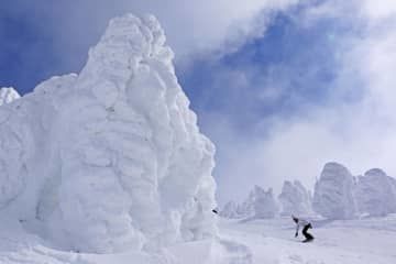木全体がすっぽりと覆われた蔵王の樹氷＝2022年2月、山形市