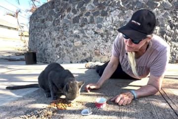 米ハワイ州マウイ島ラハイナで、山火事から生き残った猫に餌をあげるスージー・リクターさん＝22日（ロイター＝共同）