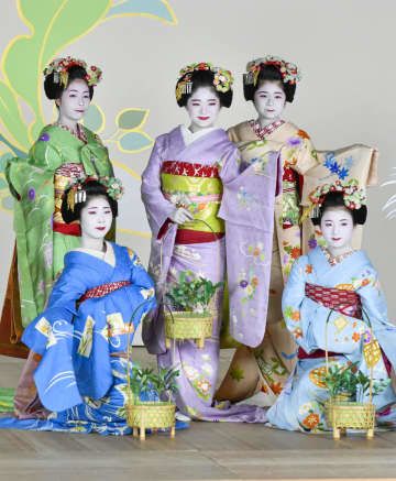 「祇園をどり」を前に、華やかな着物姿で写真撮影に臨む舞妓＝31日、京都市東山区
