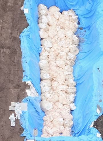 豚熱の発生が確認された佐賀県唐津市の養豚場で進む埋却作業＝1日午前8時27分（共同通信社ヘリから）