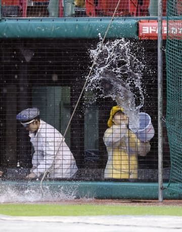 降雨のため楽天―日本ハム戦が中止となり、排水作業をする球場のスタッフ＝楽天モバイルパーク