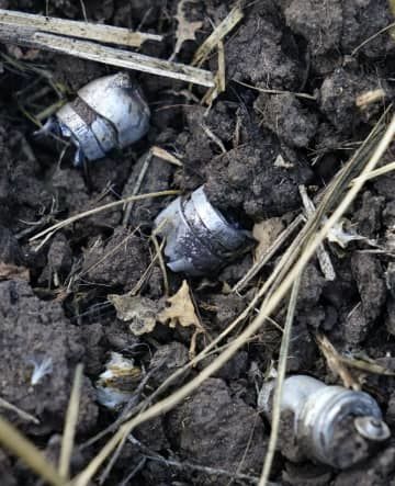 ウクライナ東部イジュム郊外カミヤンカ村で見つかった、クラスター弾の子爆弾とみられる残骸＝7月（共同）