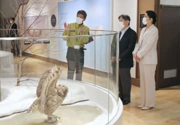 釧路湿原野生生物保護センターを訪問し、説明を受けられる天皇、皇后両陛下＝16日午後（代表撮影）