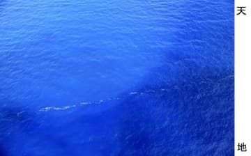東京・伊豆諸島の鳥島近海で確認された、軽石とみられる浮遊物＝20日（海上保安庁提供）