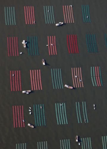 有明海で養殖ノリの種付け作業が始まり、海面に広がる色とりどりのノリ網＝28日午前8時1分、佐賀市沖（共同通信社ヘリから）