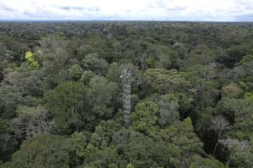 ブラジル北西部マナウス近郊に広がる熱帯雨林（AP＝共同）