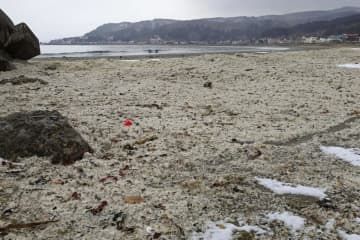 海岸に打ち上げられた大量の魚の骨やうろこ＝31日午後、北海道函館市