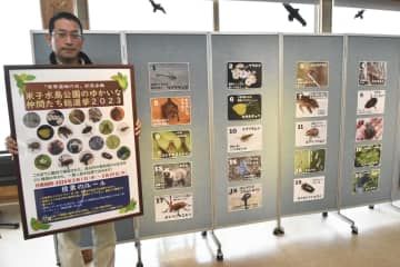 鳥取県の米子水鳥公園で始まった「ゆかいな仲間たち総選挙」の会場。珍しい植物や昆虫などの「候補者」ポスターが並ぶ＝1日午前