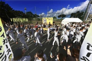 プロ野球キャンプが始まり、練習前にパレードする阪神ナイン＝1日、沖縄県宜野座村