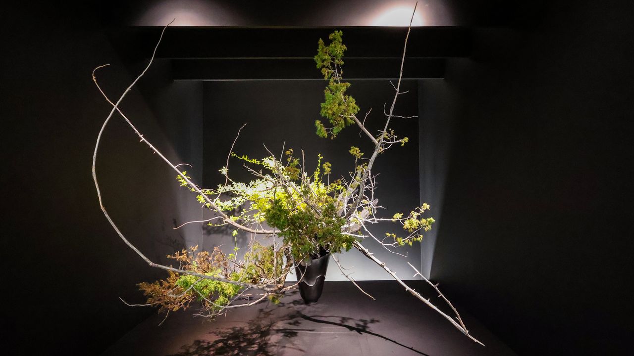 550余年の歴史を伝える華道・池坊の「華の軌跡」展 : 家元3世代の作品
